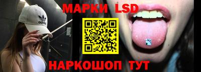 гидропоника Пенза