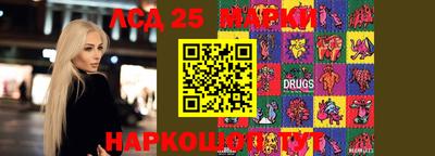 гидропоника Пенза