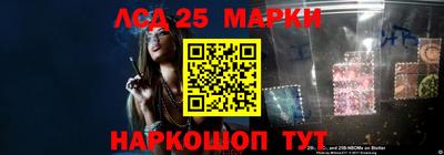 гидропоника Пенза