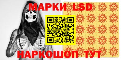 гидропоника Пенза