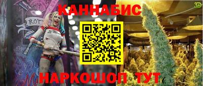 гидропоника Пенза