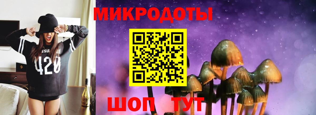 Советский  Псилоцибиновые грибы прущие грибы  Галлюциногенные грибы Psilocybe  Вход с VPN 